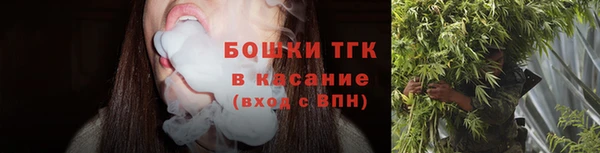 ECSTASY Белокуриха