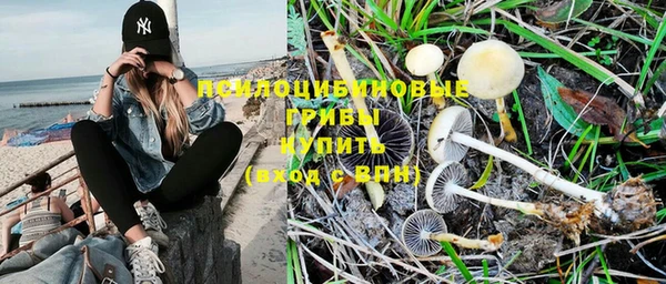 спиды Балахна