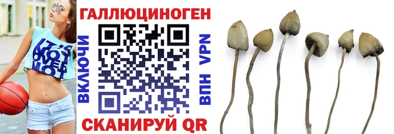 Галлюциногенные грибы Psilocybe  Купить закладки  Нягань 